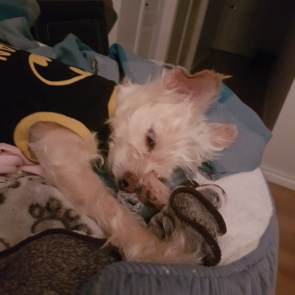 Meet your Posher, Ashwina Selva - Picture 1 of 1